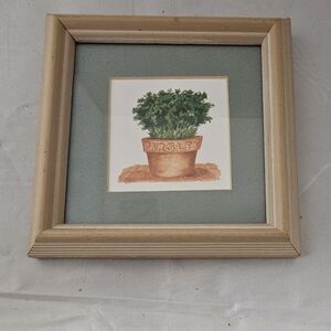 Framed Parsley Plant Art